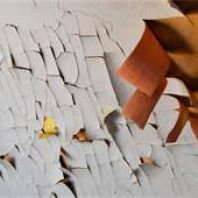 Professional Exterior Painter