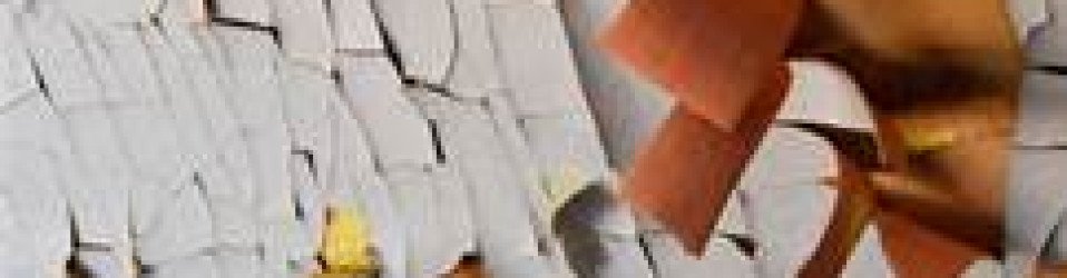 Professional Exterior Painter