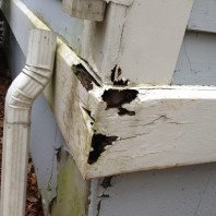 Exterior Painting Tips – How to Paint House Exterior