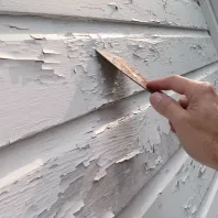 Newburyport Painters