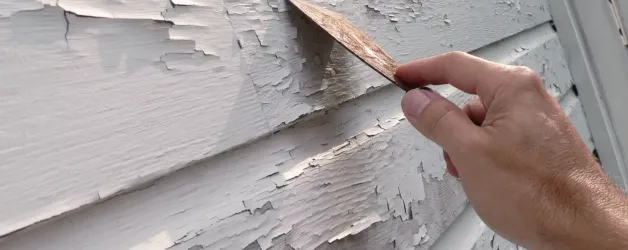 Newburyport Painters